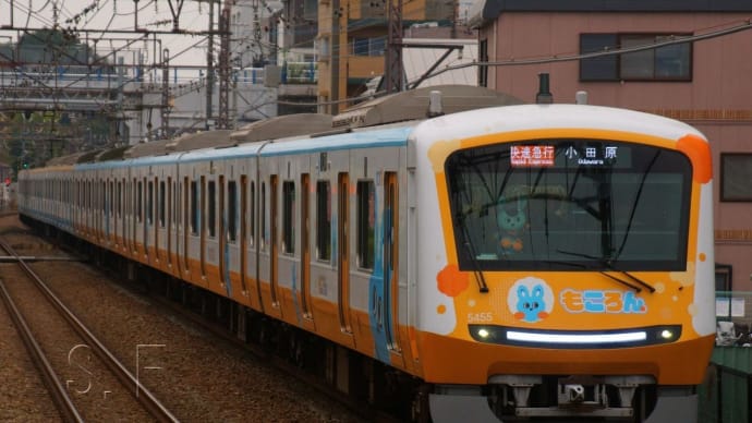 2024年11月14日 小田急小田原線 生田 5455F もころん号