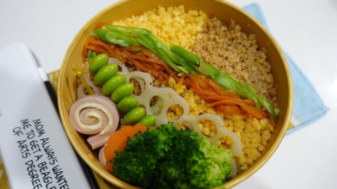 孫お弁当 鶏そぼろ弁当