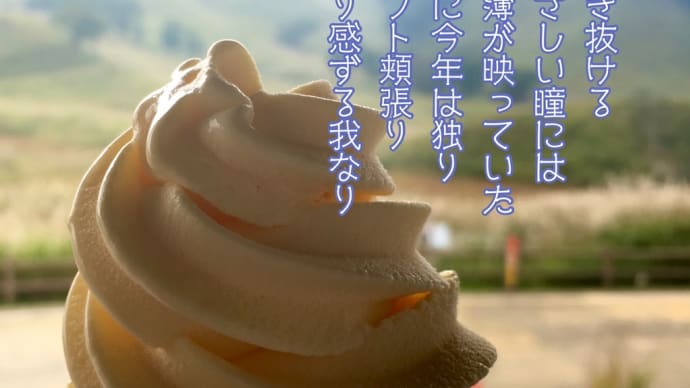 キミの瞳に / ラグの写真詩