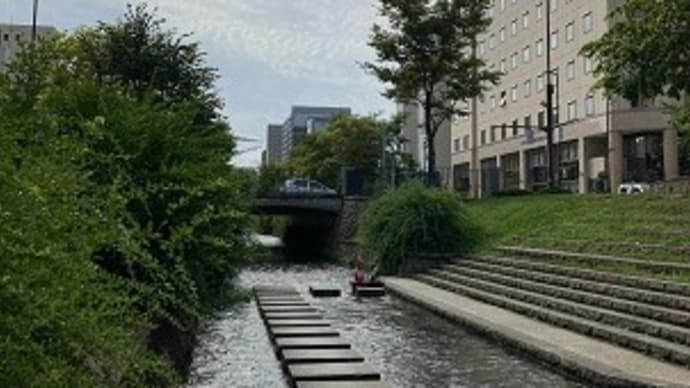 らんも測る?