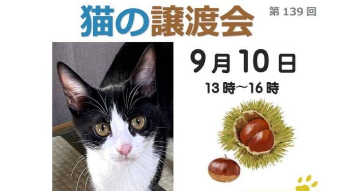 今はもう秋