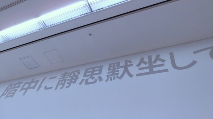 ２０２４・３・２６　第８回横浜トリエンナーレ「野草：いま、ここで生きてる」。横浜美術館。密林の火。