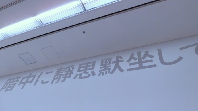 2024・3・26 第8回横浜トリエンナーレ「野草:いま、ここで生きてる」。横浜美術館。密林の火。