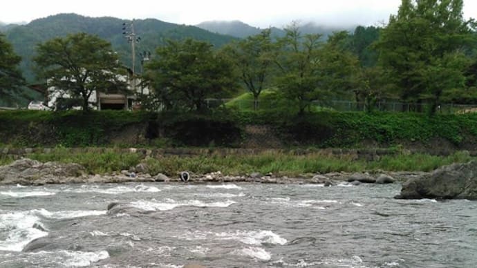 8月30日 長良川へ鮎釣りに向かうも・・・！