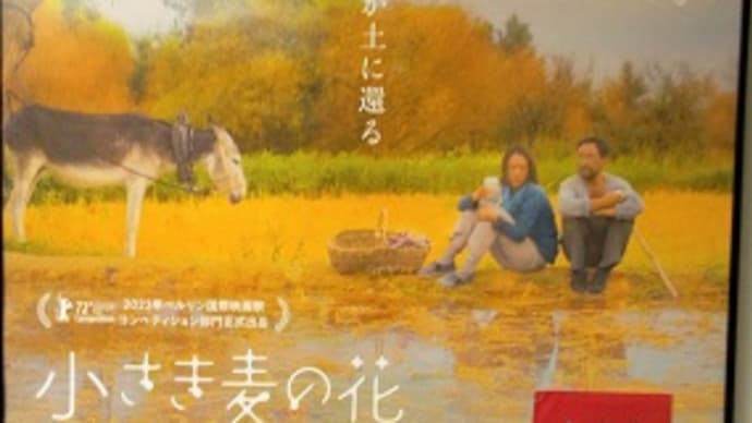 奇跡と呼ばれた映画