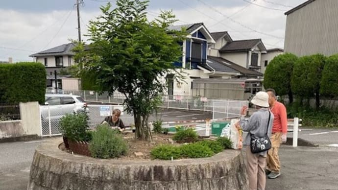 住民が手入れをして緑化を