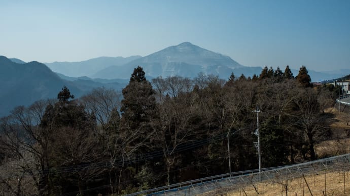 埼玉県民の森 丸山を往く