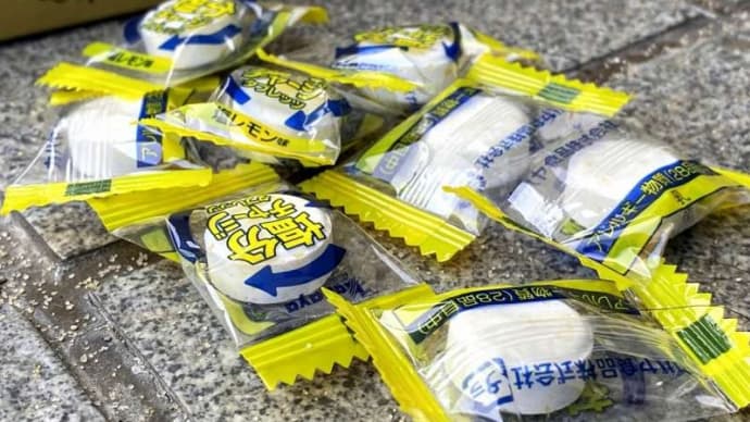 ジリジリ焦がすような紫外線の中で、汗をほとばしらせ、黄色いボールを追いかける