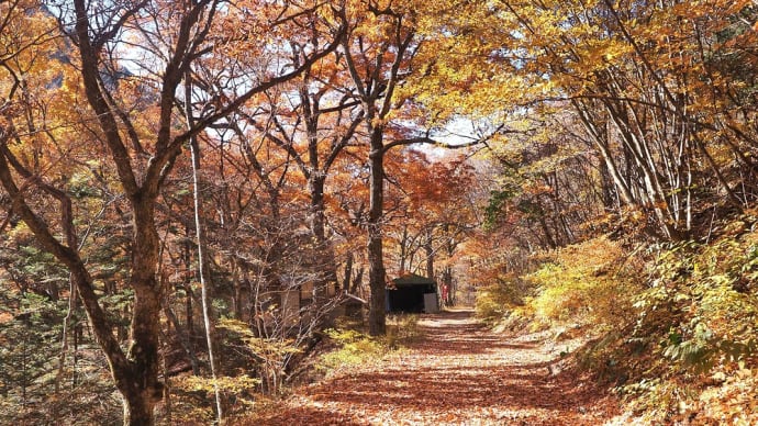 ★秋の横川渓谷を上流に向かって歩く③🍂 2022