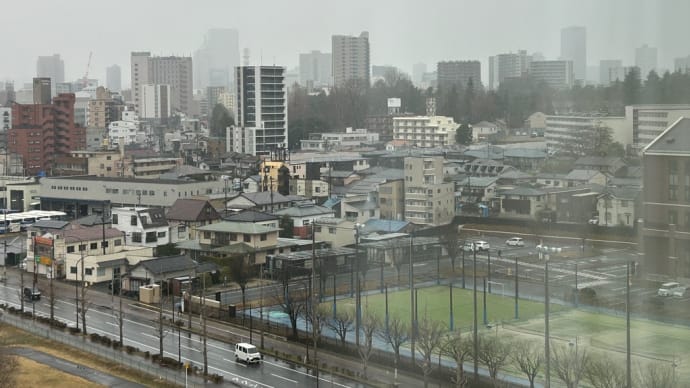 2025年3月19日(水) 幻想は現実味を帯びるが、GVHDはどうなんだろ