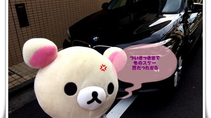 クマルの視察団 Part. 1