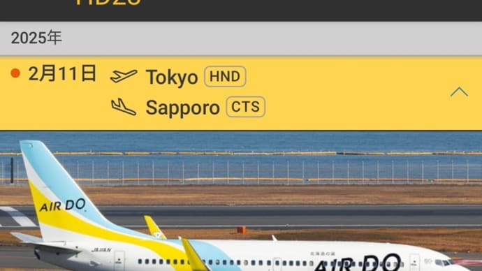テイクオフ！えっ！？着陸出来ない！？