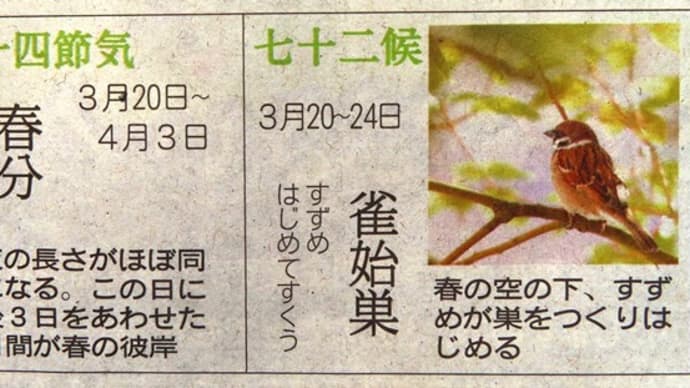 今日は春分の日でお彼岸の中日です。