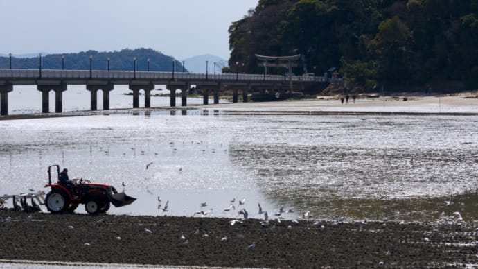 今日の竹島海岸