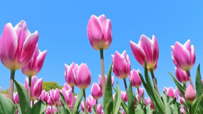 4月　休診のおしらせ