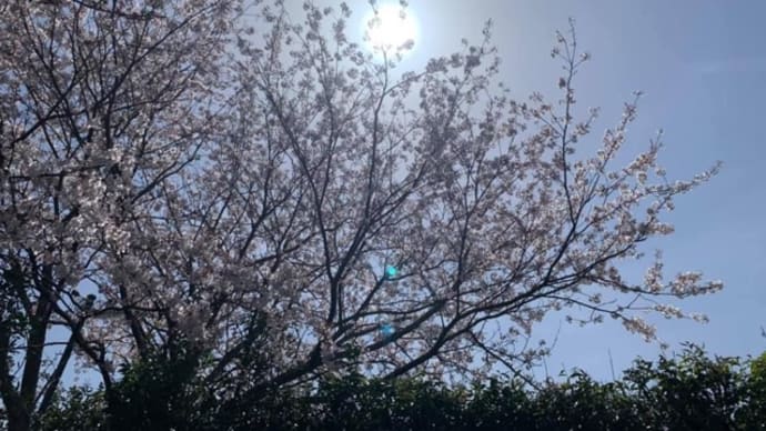 壮大な目的のために、ここにいる✨