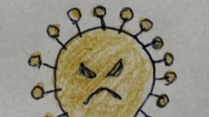 DHAで風邪対策