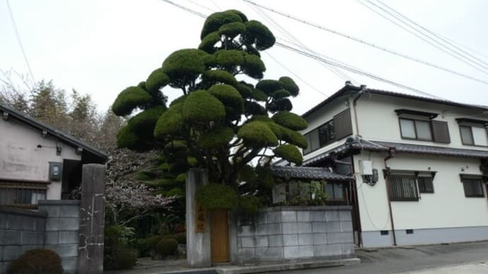 神戸市須磨区多井畑 真言宗正蔵院への訪問記 on 2022-3-29