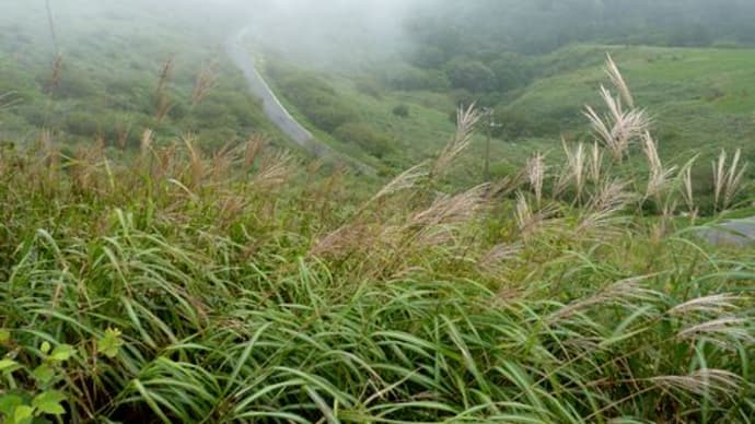 霧の美川峰..