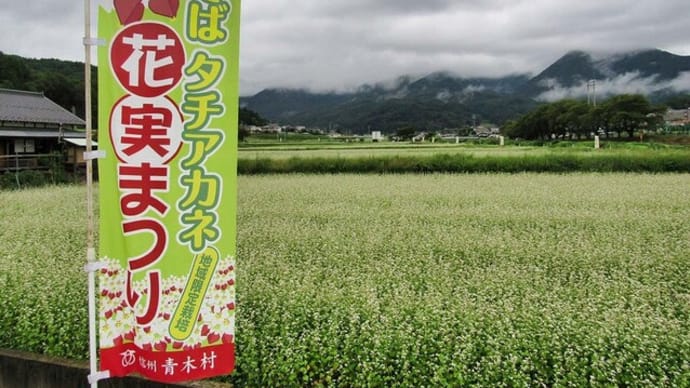 2022タチアカネ花実祭り 籠の中の2にゃんこ