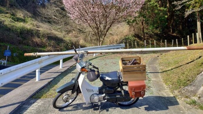 バーディーで