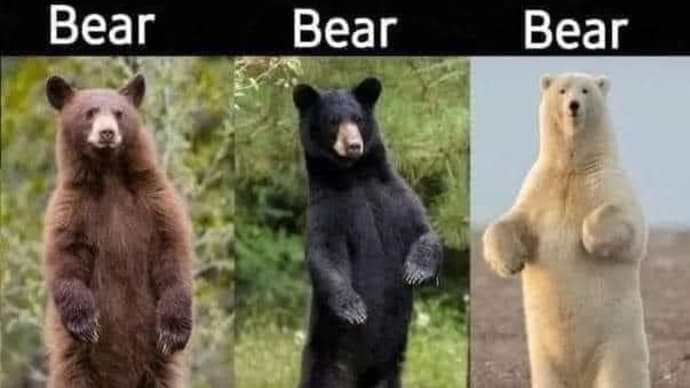 The Mindset Of BLM.  LOL.  😀😃😄😁😆😅😂🤣😈🐻