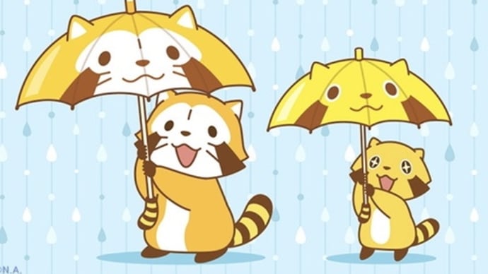 初夏のお花…