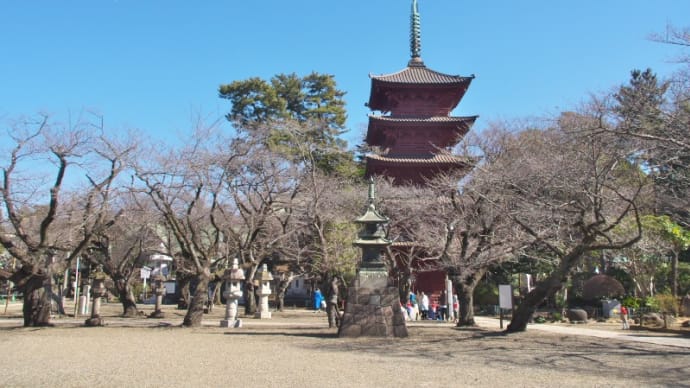 中山のおひなまつり