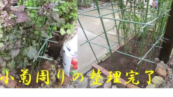 菜園日誌〈赤青紫蘇撤去〉(*'▽')!!駐車場横の花壇を整理しましたよ😄