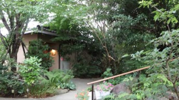 2025日本の旅 熊本阿蘇の旅⑧離れの宿 神隠れ(2)朝の散歩と朝食