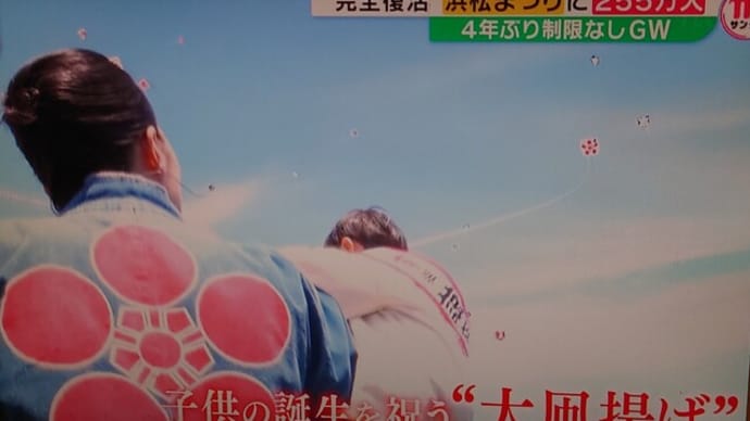 【浜松まつり】【まつり】【徳川家康】【大河ドラマ】【にぎわい】
