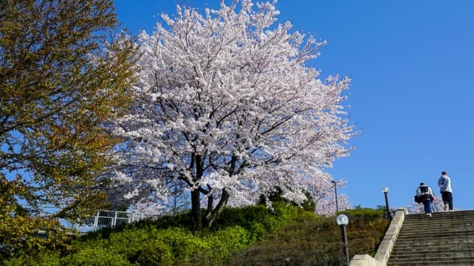 そよ風にのって