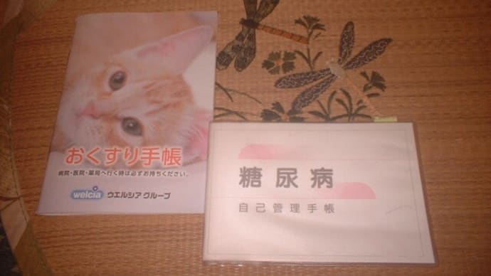 村の診療所に行きました。
