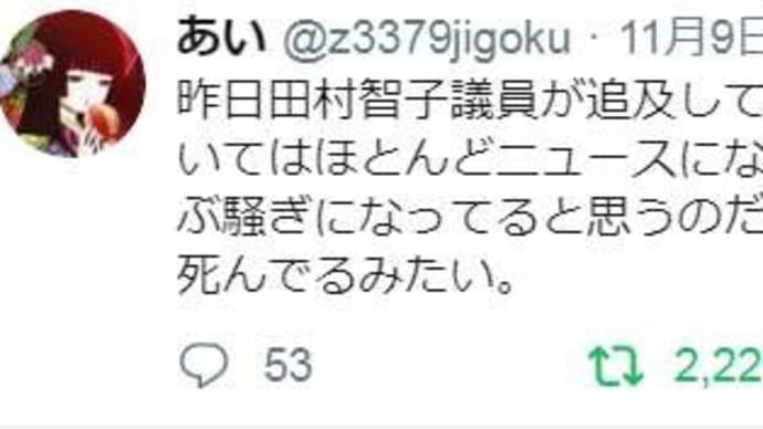 ネットで大問題 「桜を見る会」 でも、・・・マスコミは死んだ。