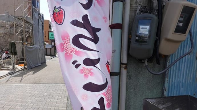 散歩写真 929