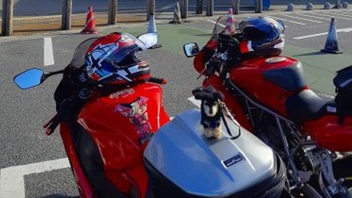 さるびの温泉
