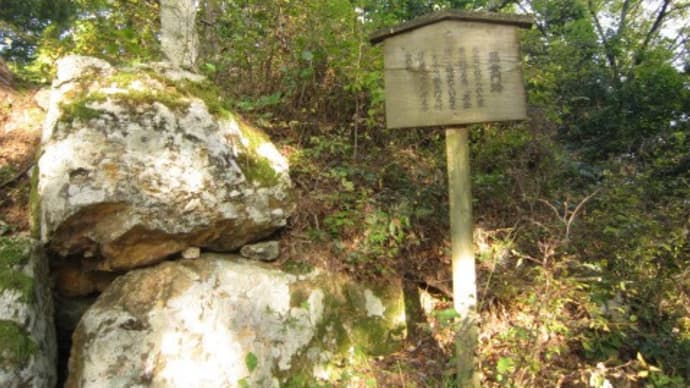 小谷城跡(8)