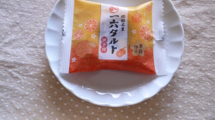 一六タルト 伊予柑