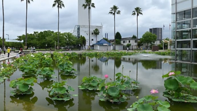 花博記念公園鶴見緑地