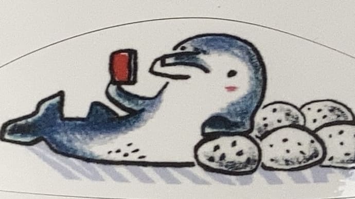 しらたき開いた毎日開いた🎵