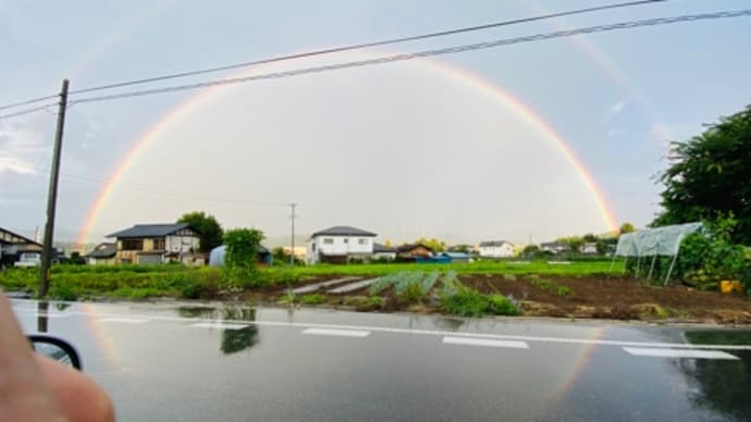 幸せな虹🌈そして本日のゲストは🐸