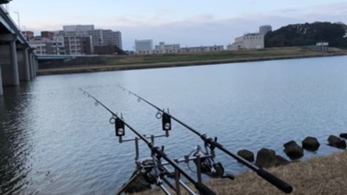 2月26日の鯉釣り