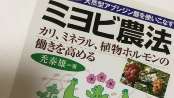 四国の田舎は雨蒸し蒸し、元気畑の屋島産栗の木はもう実も膨らんで栗らしく…