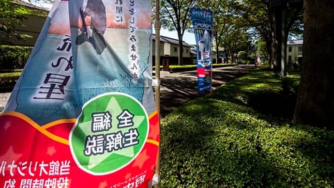 郷土の森博物館で数少ない花を探して
