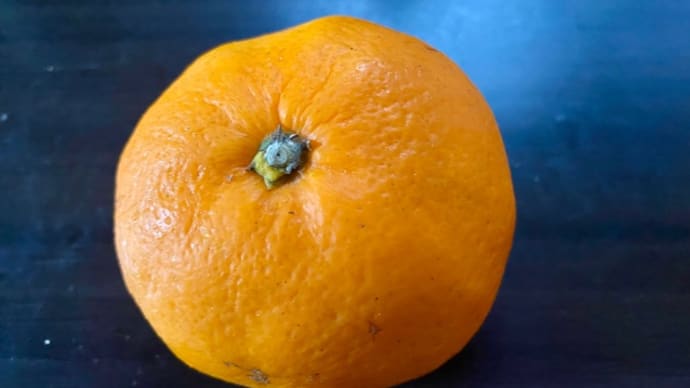 実家から届いた♪冷凍みかん🍊が美味すぎる~(pq・v・)+°