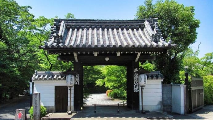 新緑の将軍塚青龍殿