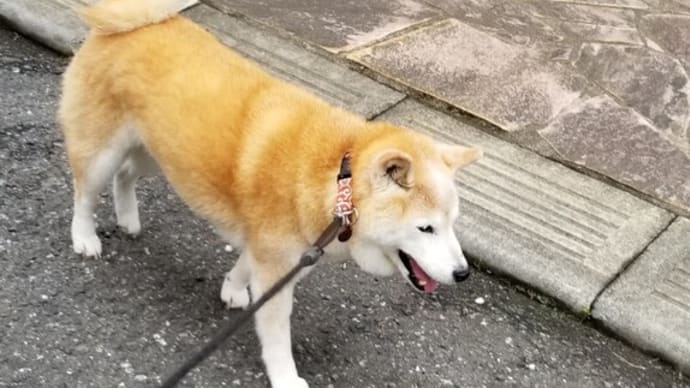 クリンへの想いは尽きなくて・・198