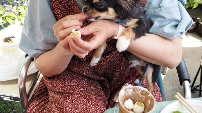 たくさん食べた~