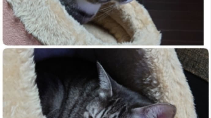 今年一番の寒さ😅