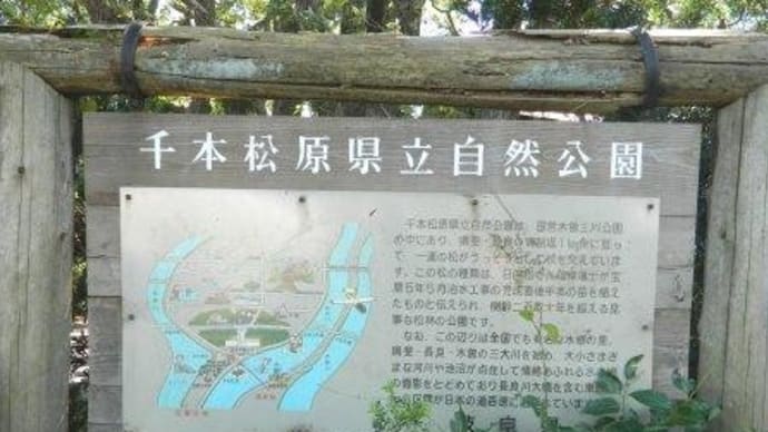 佐屋街道(東海道歩き旅・伊勢の国)